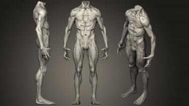 3D model Body Sculpt 8 (STL)